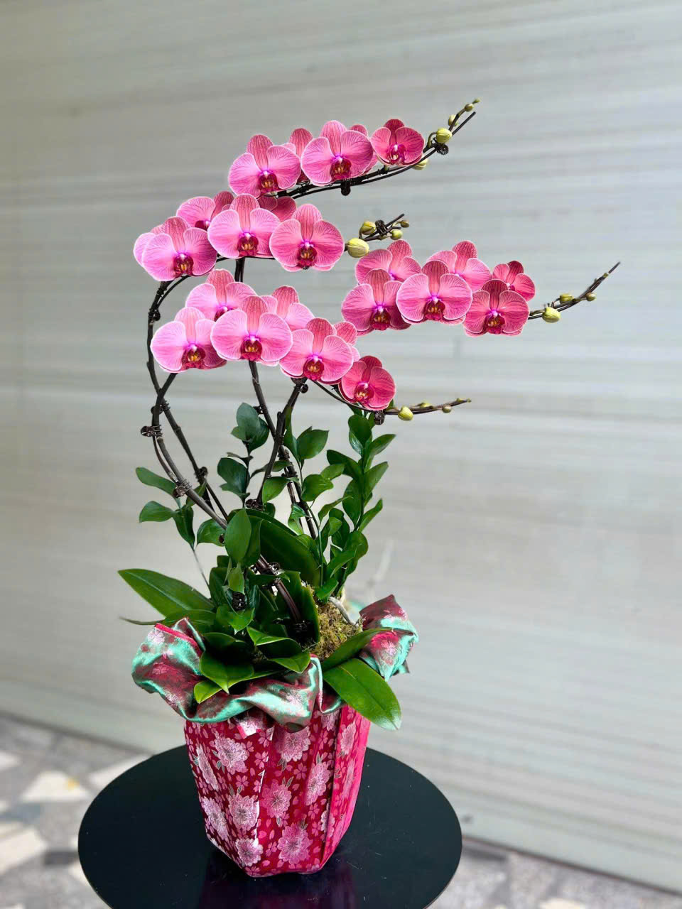 Chậu Lan Hồ Điệp Tone Đỏ Quyến Rũ